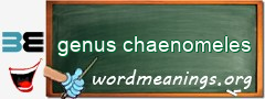WordMeaning blackboard for genus chaenomeles